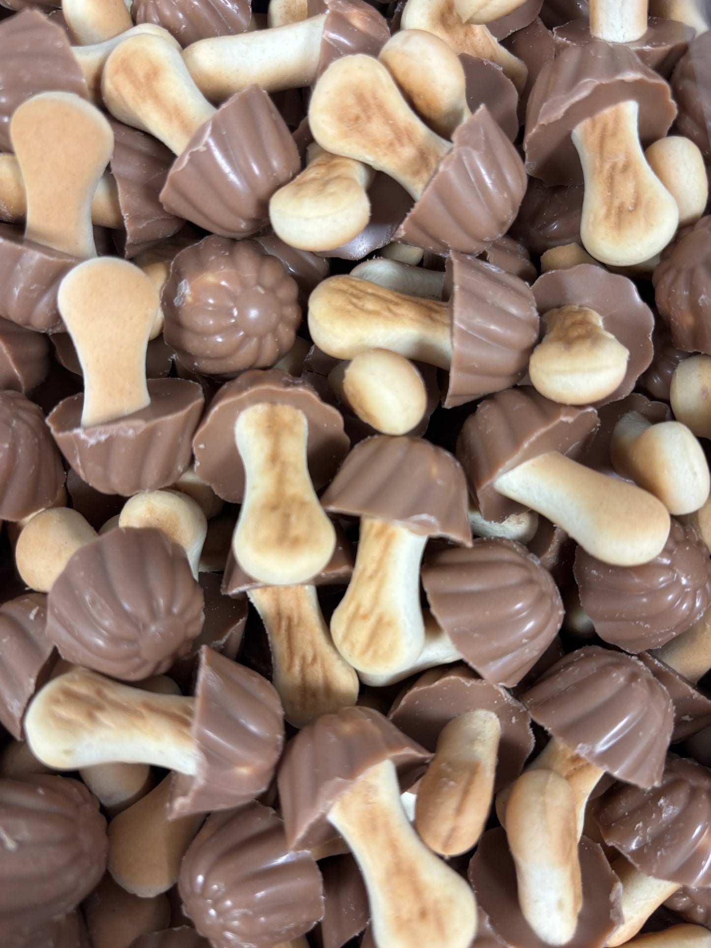 Champignons chocolat , caramel x10