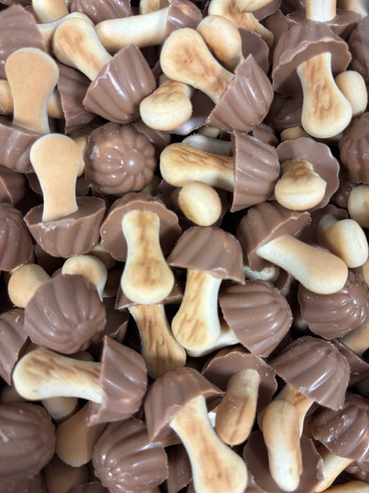Champignons chocolat , caramel x10